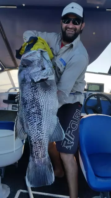 A good size Dhufish