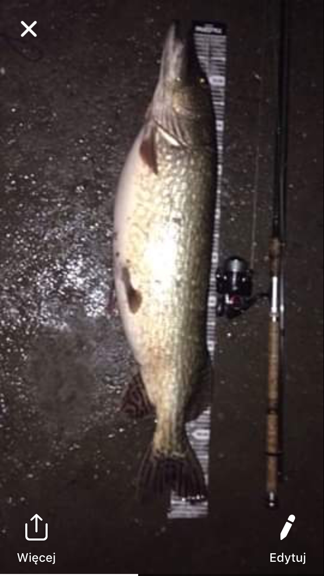 Best Fishing Times for April, 2019 Fishingreminder