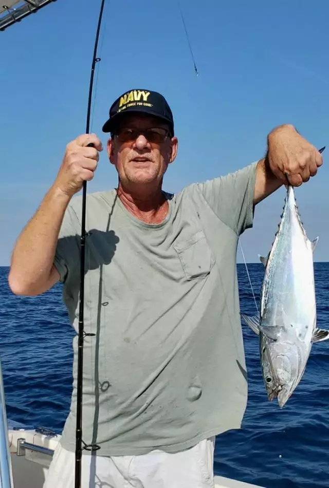 Bunch of nice small bonito 4-17-19 swfl gulf