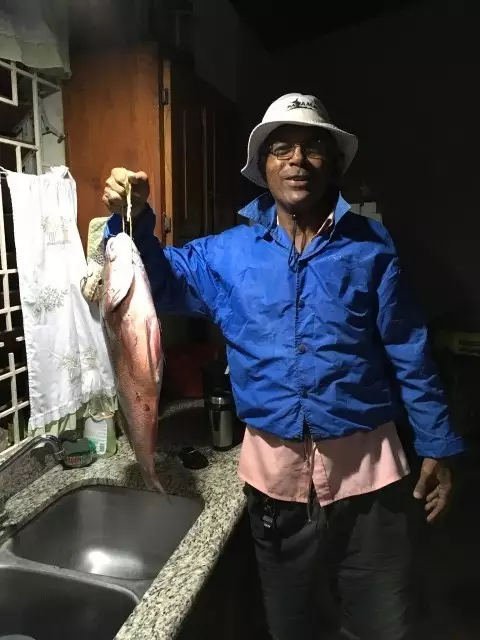 9 lbs Red snapper