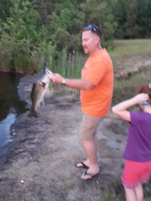 Bass