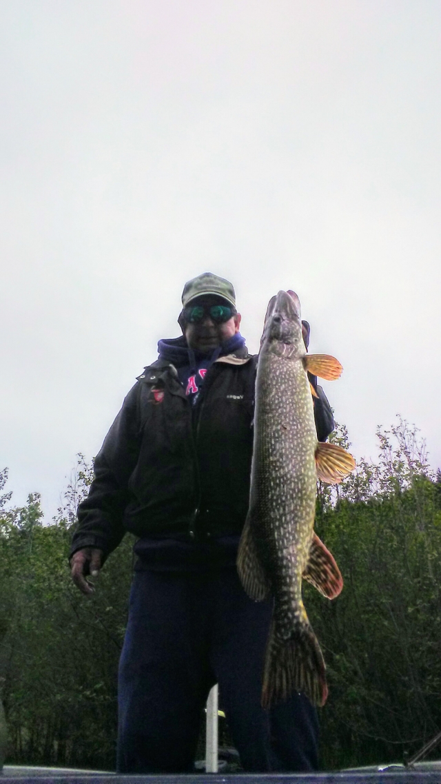 The pike fishing on Lake CD'A is hot right now