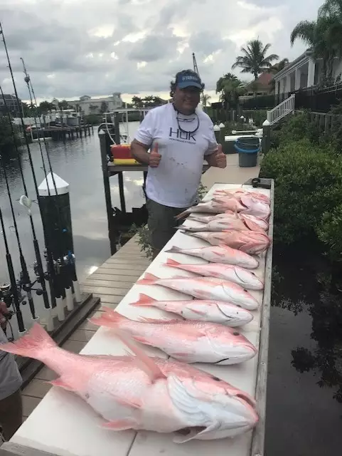 Red Snapper & Red Grouper