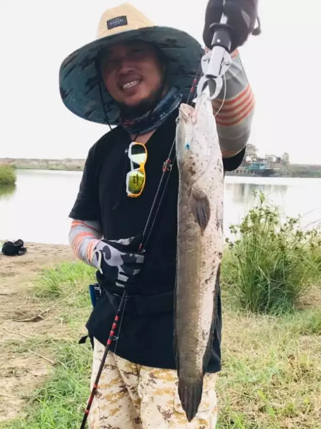 Snakehead
