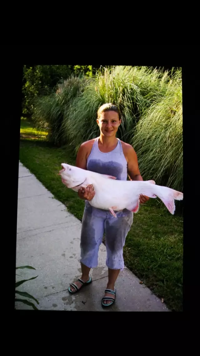 Catfish-MUDDY MISSISSIPPI RIVER, Waggaman, LA