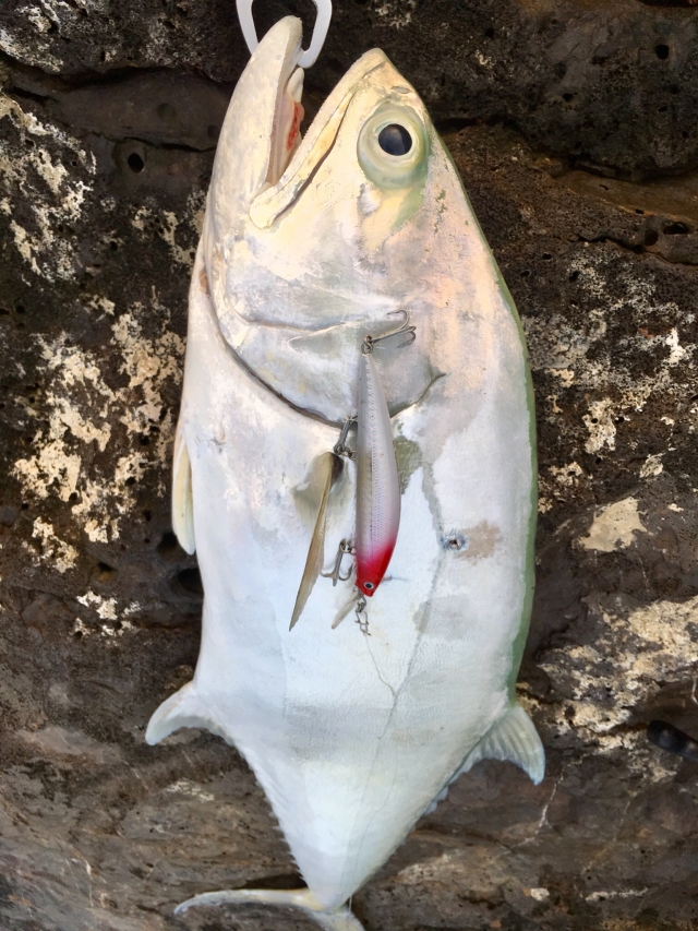 Abu Dhabi Fishing Fishing Photo