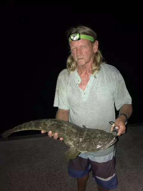 Dusky Flathead