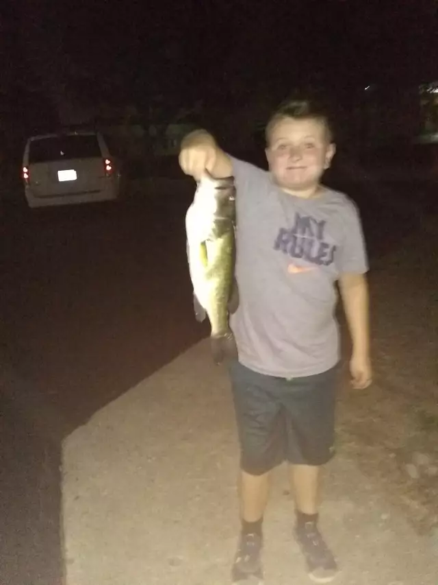 Largemouth Bass