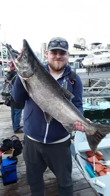 Chinook Salmon