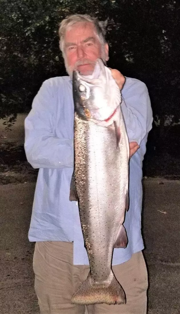 October Lahanton Cutthroat Trout