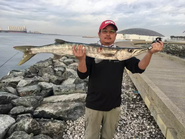 Abu Dhabi fishing #Barracuda