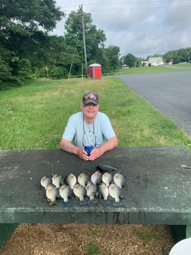 Crappie