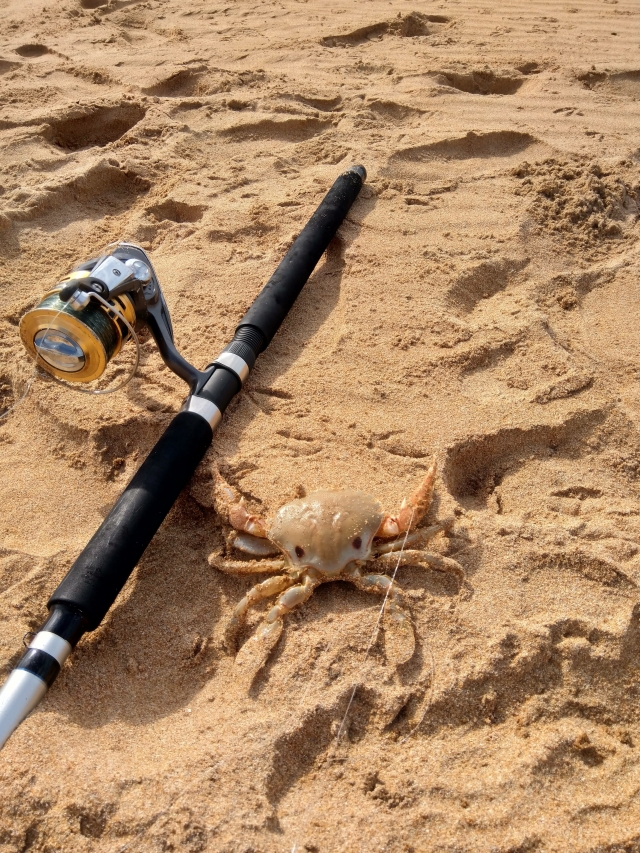 Fishing Victor Harbor