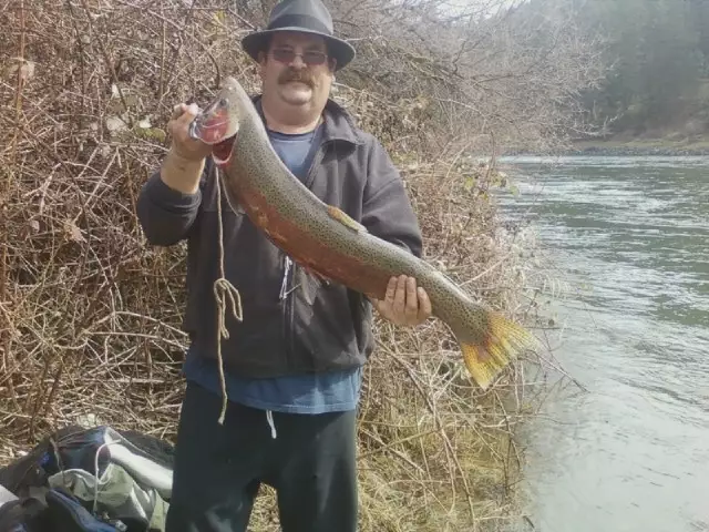 Steelhead