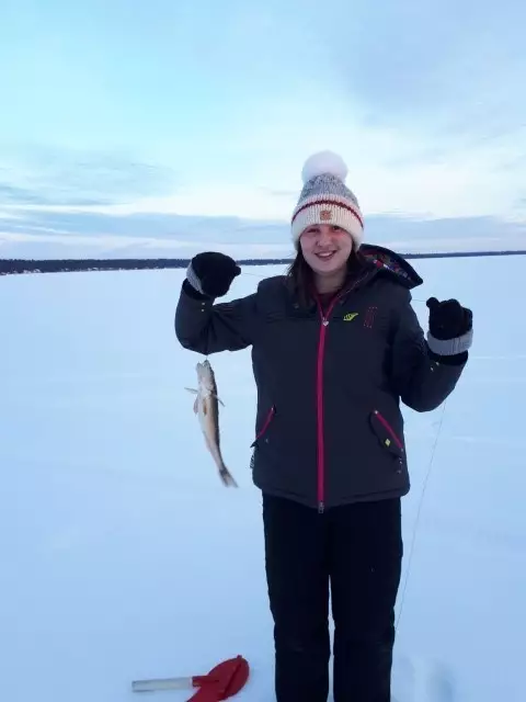 sugger  =  pickerel