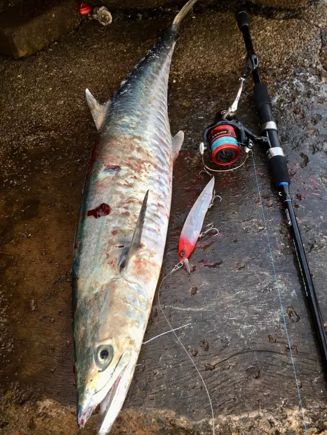 Abu Dhabi fishing