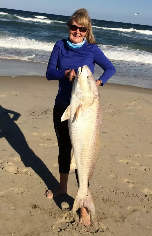 Red Drum