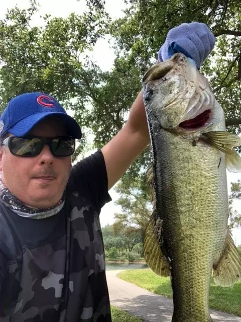 Large Mouth Bass