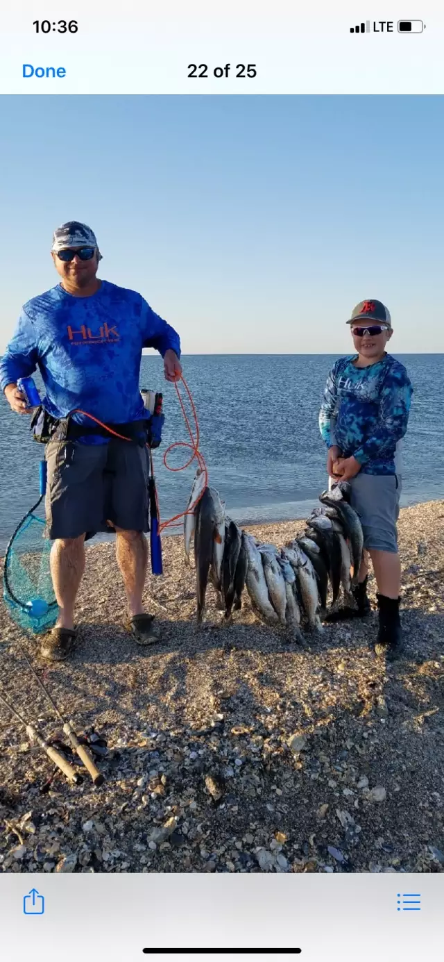 Speckled trout an a couple redfish