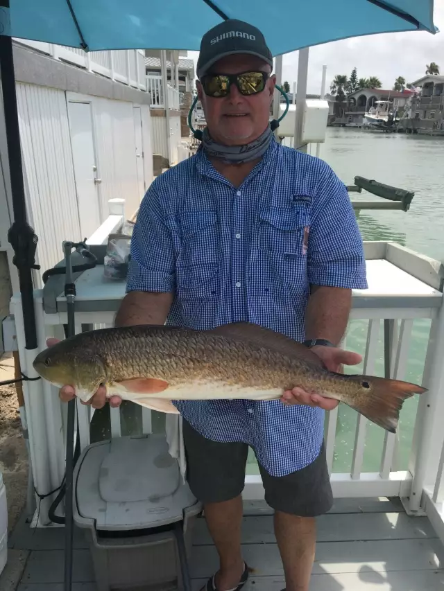 28” Red Drum