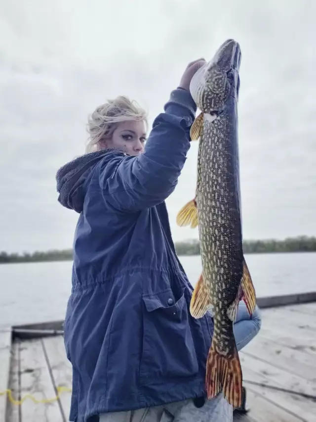 Northern Pike