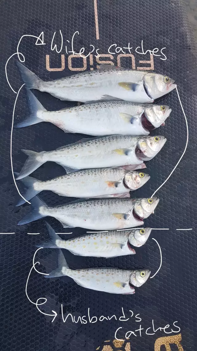 Wife's catches!