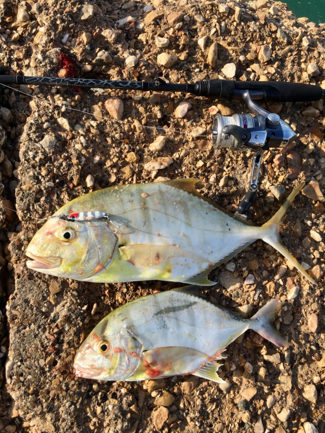 Abu Dhabi fishing Fishing Photo