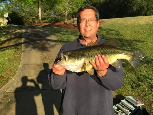 Nice Bass!