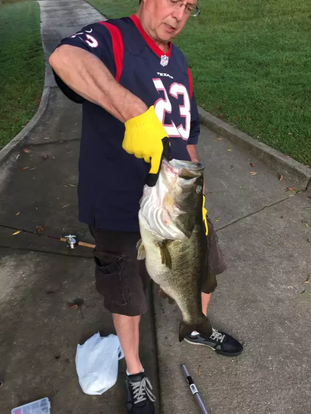 Double Digit Bass