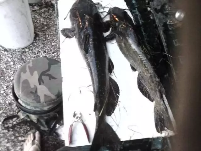 Couple little channels