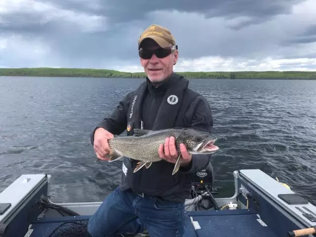 Lake Trout