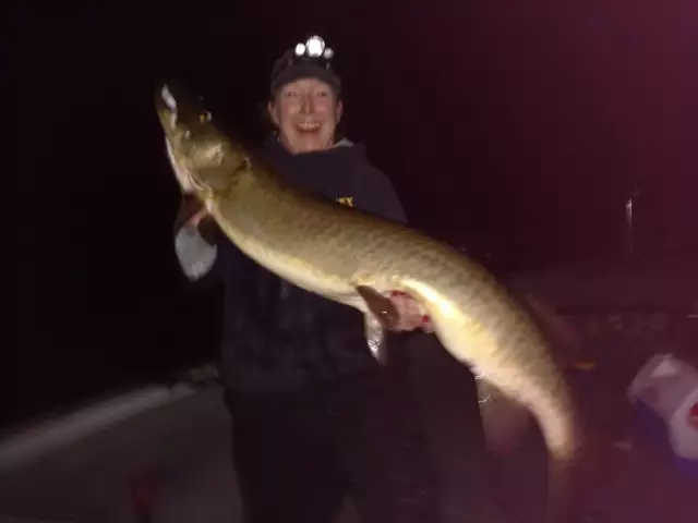 50" Musky "Wisconsin Dino!!!"