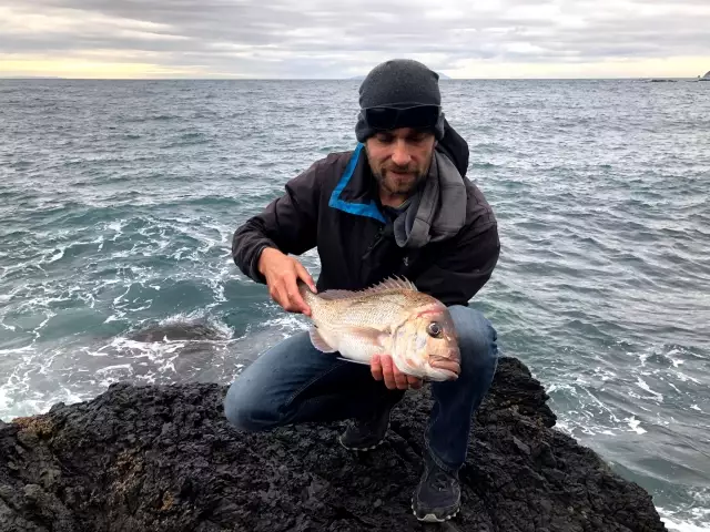 Nice cracker off the Coromandel Rocks.