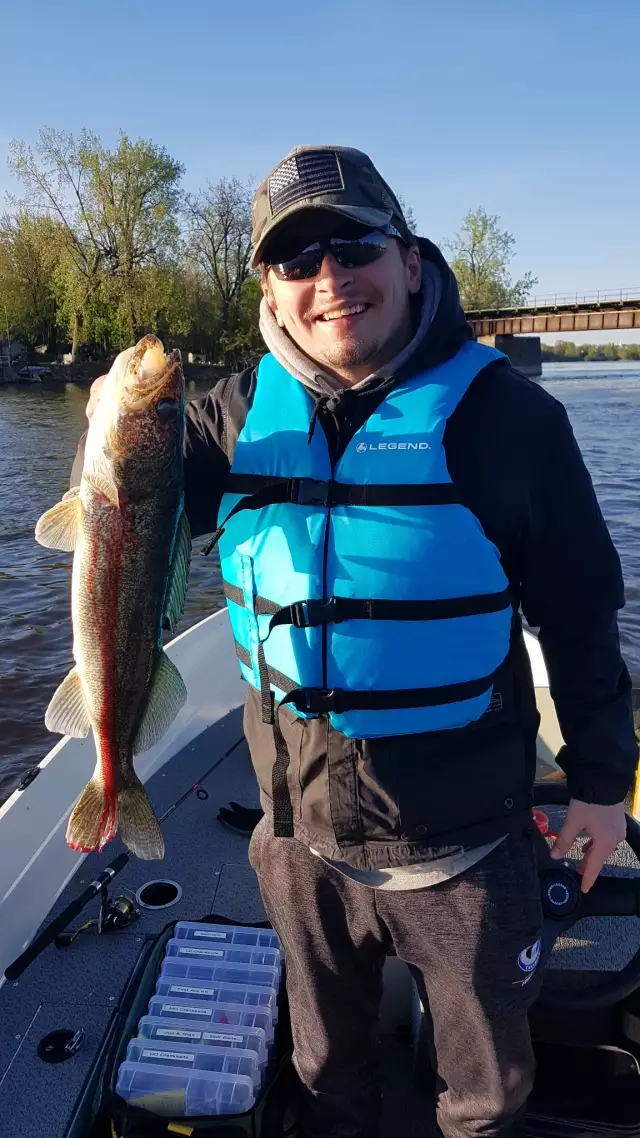 Walleye