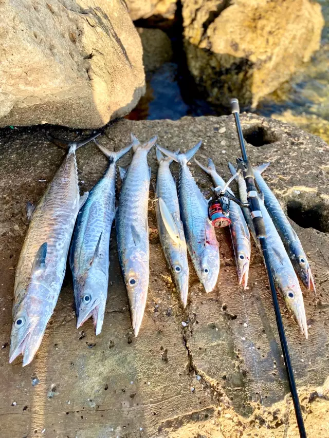 Abu Dhabi fishing