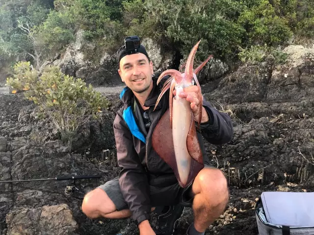 Nice squid - Bay of Islands, New Zealand