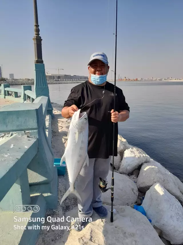 Queen Fish in Dammam Corniche