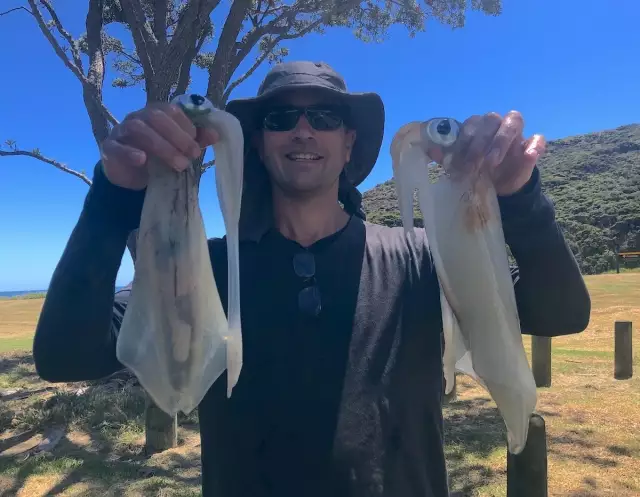 A couple nice squid from the top of the north island, NZ