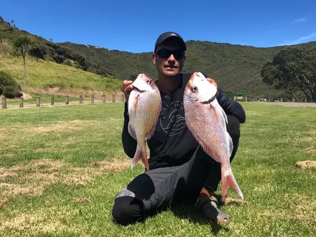 couple nice New Zealand snapper