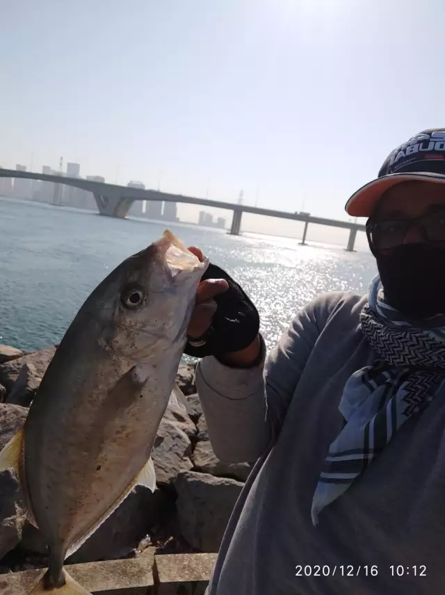 Yellowspotted Trevally