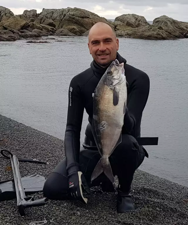 Spearfishing kaikoura, nice blue moki