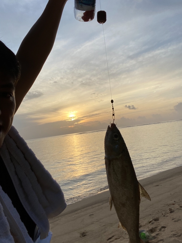 Milkfish