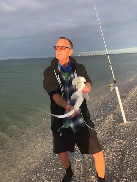 Bonnet Head Shark