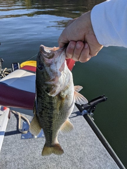 fishing planet unique spotted bass fishing planet unique spotted bass