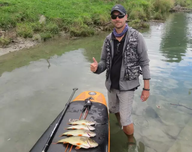 couple nice big perch