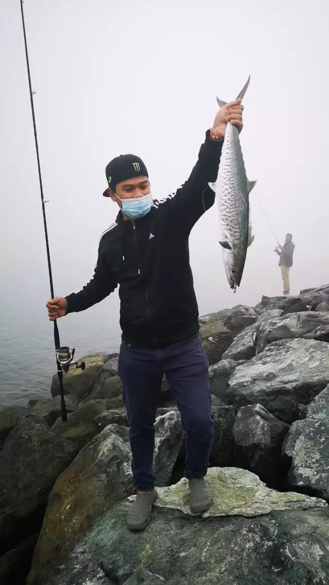 King Mackerel