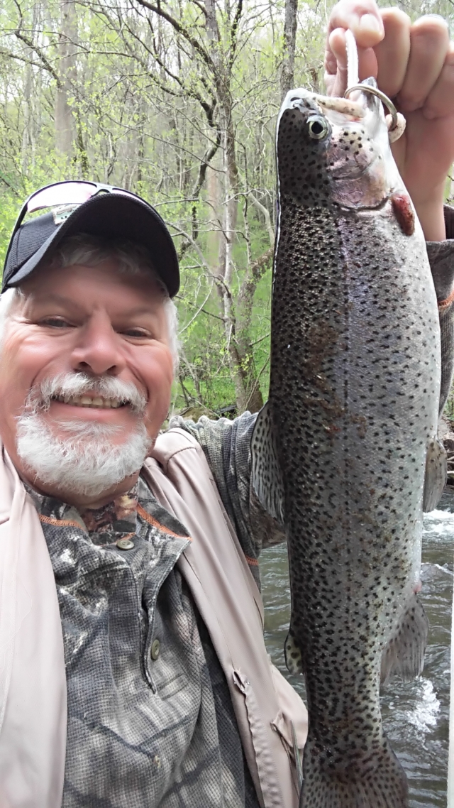 Rainbow trout