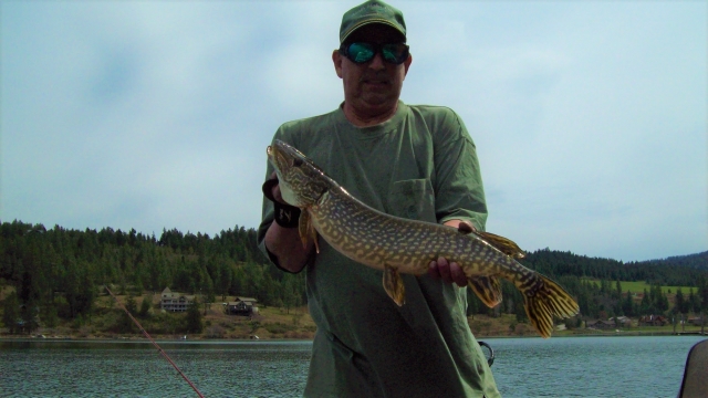 Pike