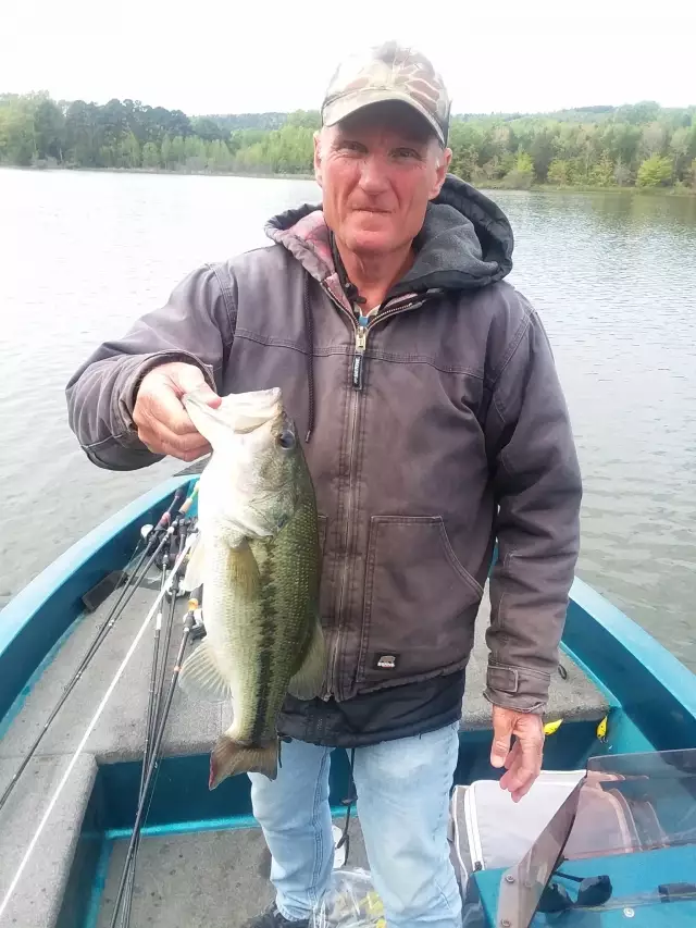 Largemouth bass
