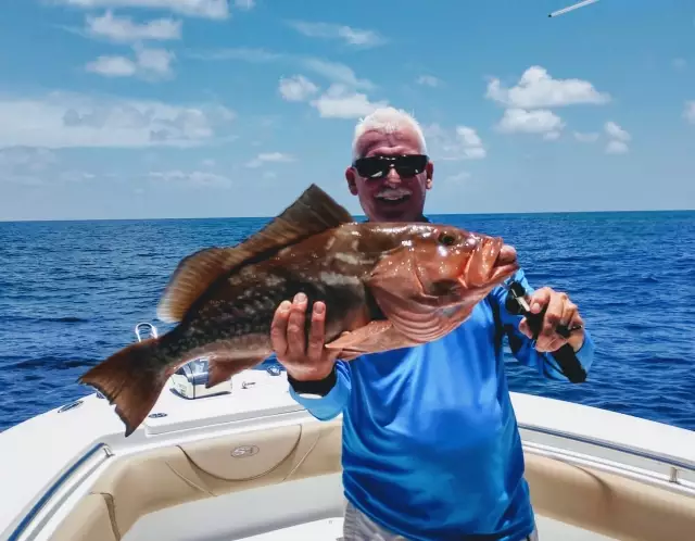 Red Grouper